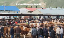 Aşkale Hayvan Pazarı’nda Kurbanlık Yoğunluğu