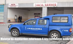 Malatya'da Yabani Mantardan Zehirlenen 6 Kişi Hastanelik Oldu