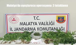 Malatya’da Jandarmadan Zehir Tacirlerine Darbe: 3 Kişi Tutuklandı