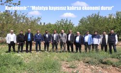 Malatya’da Don Felaketi Sonrası Alarm: Çiftçiler Perişan, İş Dünyası Devlet Desteği Bekliyor