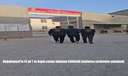 Jandarma, Kesinleşmiş Hapis Cezası Bulunan Firariyi Kıskıvrak Yakaladı