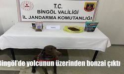 Şüpheli Hareketler Jandarmayı Harekete Geçirdi