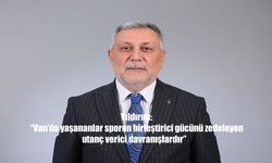 Futbol Sahasında Gerginlik: Vanspor–Elazığspor Maçında Çirkin Saldırılar