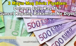 3 Mayıs Muş Döviz Fiyatları: Dolar ve Euro Kaç TL? Güncel Kapanış Rakamları Ne Diyor?