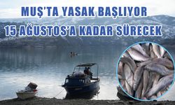 Muş'ta yasaklar başlıyor: Cezası 37 bin 770 TL