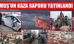 Muş'un bir aylık kaza bilançosu: 74 yaralı
