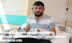Gece Yolculuğu Felakete Dönüştü: Ormanlık Alanda Hararet Yapan Araç, Genç Teknisyeni Yaktı
