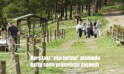 Keklik Deresi Eko Turizm Alanında Doğayla İç İçe Bir Hafta Sonu