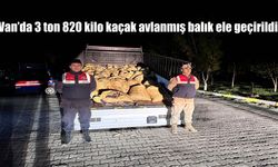 Jandarma Ekiplerinden Aralıksız Denetim: İnci Kefalini Korumak İçin 7/24 Mücadele