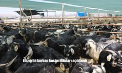 Elazığ Belediyesi Kurban Bayramı Hazırlıklarını Tamamladı: Satış ve Kesim Alanları Belli Oldu
