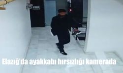 Elazığ'da Apartman Girişindeki Ayakkabılar Hedef Oldu