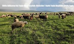 Bitlis Adilcevaz’da Yayla Göçü Başladı: Besiciler 7 Aylık Yayla Hayatına Geçiş Yaptı