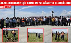 Muş’ta 300 meyve ağacı toprakla buluştu