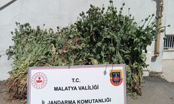 Malatya’da Uyuşturucu Operasyonları Hız Kesmeden Devam Ediyor