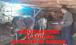 Yüksekova’da hayvan sağlığına büyük destek