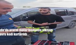 Park Halindeki Aracın Motorundan Gelen Sesle Fark Edildi
