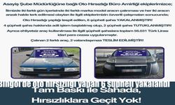 Bingöl'de Oto Hırsızlığı Yapan 6 Şüpheli Yakalandı: Çalınan Araçlar Sahiplerine Teslim Edildi