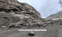 Erzurum-Artvin Karayolu'nda Heyelan: Pirinkayalar Geçidi Ulaşıma Kapanmış Durumda