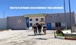 Kars’ta Hırsızlık Suçundan Aranan Şüpheli Jandarmanın Operasyonuyla Yakalandı