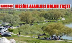 Muş'ta piknik keyfi: Mesire alanları doldu taştı