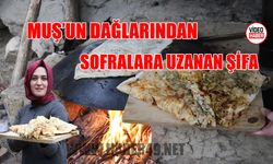 Taştan’dan Muş’un unutulmaz lezzeti gulikli gözleme tarifi