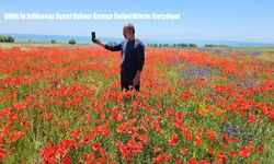 Bitlis’in Adilcevaz İlçesi Baharı Kırmızı Gelinciklerle Karşılıyor