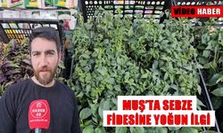 Muş’ta fide sezonu hareketliliği