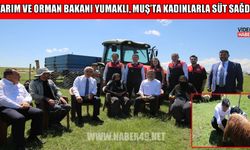 Muş’ta küçükbaş hayvancılıkta büyük artış