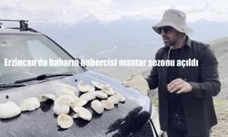 Erzincan’da baharın habercisi mantar sezonu açıldı