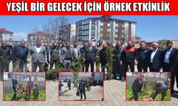 Bulanık’ta 5 bin çam fidanı dağıtıldı