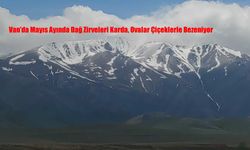 Van’da Mayıs Ayında Dağ Zirveleri Karda, Ovalar Çiçeklerle Bezeniyor