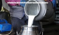 Süt Üreticileri İsyanda: Bir Bardak Çaydan Ucuz Süt Fiyatı Geçim Derdi Yarattı