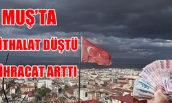 Muş’ta ihracat artarken ithalat sert düştü