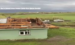 Muş’ta şiddetli fırtına felaketi: çatılar uçtu, ağaçlar devrildi!