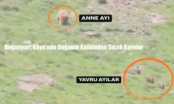 Doğanyurt Köyü’nde Doğanın Kalbinden Sıcak Kareler