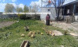 Kars’ın Değeri Kaz: Altınla Kıyaslanan Yöresel Zenginlik