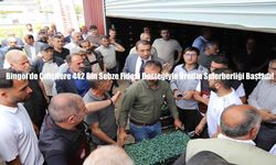 Bingöl’de Çiftçilere 442 Bin Sebze Fidesi Desteğiyle Üretim Seferberliği Başladı!