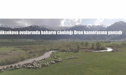 Yüksekova ovalarında baharın canlılığı Dron kamerasına yansıdı