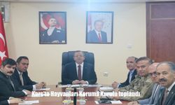 Vali Polat Başkanlığında Gerçekleşen Toplantıda Sokak Hayvanları İçin Kalıcı Çözümler Masaya Yatırıldı