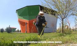 Van Büyükşehir Belediyesi, Parklarda Çim Biçme ve Çevre Düzenleme Çalışmaları Başlattı
