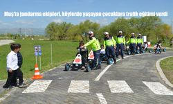 Muş'ta jandarma ekipleri, köylerde yaşayan çocuklara trafik eğitimi verdi