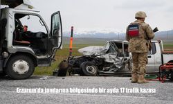 Jandarma Sorumluluk Sahasında Trafik Kazalarında Artış: 24 Kişi Yaralandı