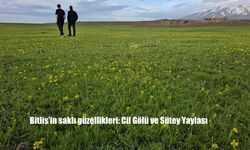 Süphan Dağı'nın Gölgesinde Büyüleyici Bir Doğa Harikası: Cil Gölü
