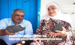 Tunceli'de 'Anneler Günü' Hediyesi Gökten Düştü: Fehime Ekici'nin Bahçesine Göktaşı Düştü