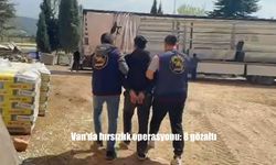 Van’da Hırsızlık Suçlarına Yönelik Eş Zamanlı Operasyon: 8 Şahıs Gözaltına Alındı