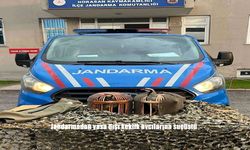 Erzurum’da Kaçak Keklik Avına Geçit Yok: Jandarmadan Suçüstü Operasyonu