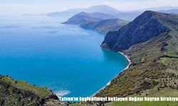 Tatvan’ın Eşsiz Doğası: Yelkenli Köyü ve Çevresinin Göz Kamaştıran Güzellikleri
