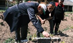 Erzincan’da Bağcılara Kritik Uyarı: Hastalık ve Zararlılara Karşı Tedbir Zamanı