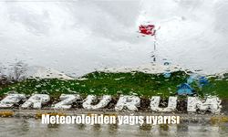 Erzurum, Erzincan ve Ardahan'da Kuvvetli Sağanak Alarmı: Tarih ve Saat Verildi