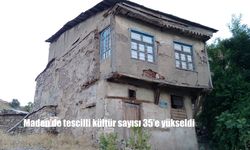 Mehmet Sezen Evi, Maden’in Tescilli Kültür Varlıkları Arasına Katıldı
